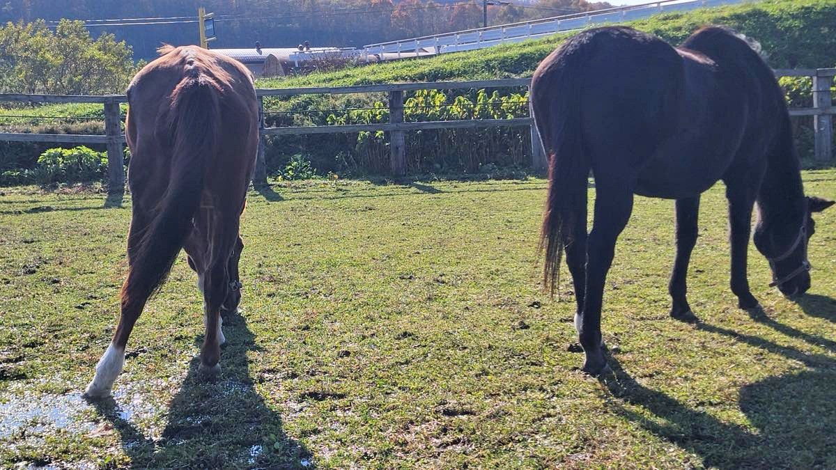 807ced71f36ae4f8987e22de5ed85896-1763312572.jpg 807ced71f36ae4f8987e22de5ed85896-1763312572.jpg